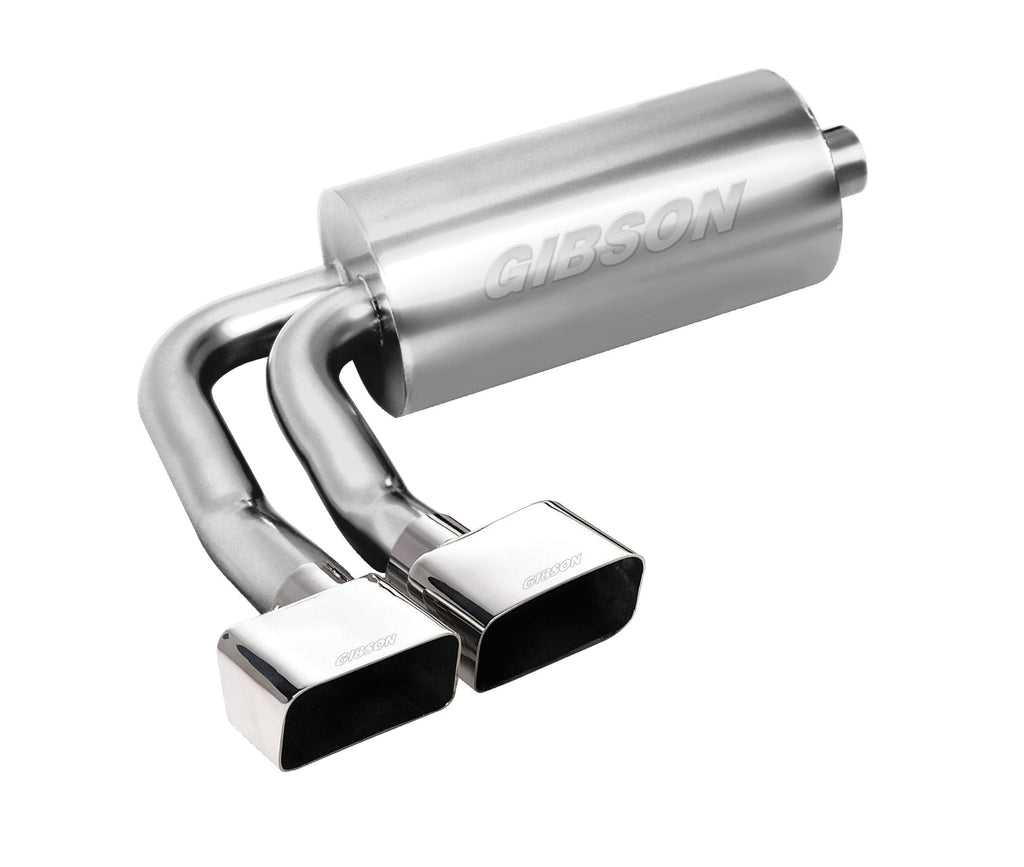 Cat-Back Dual Exhaust System C178212
