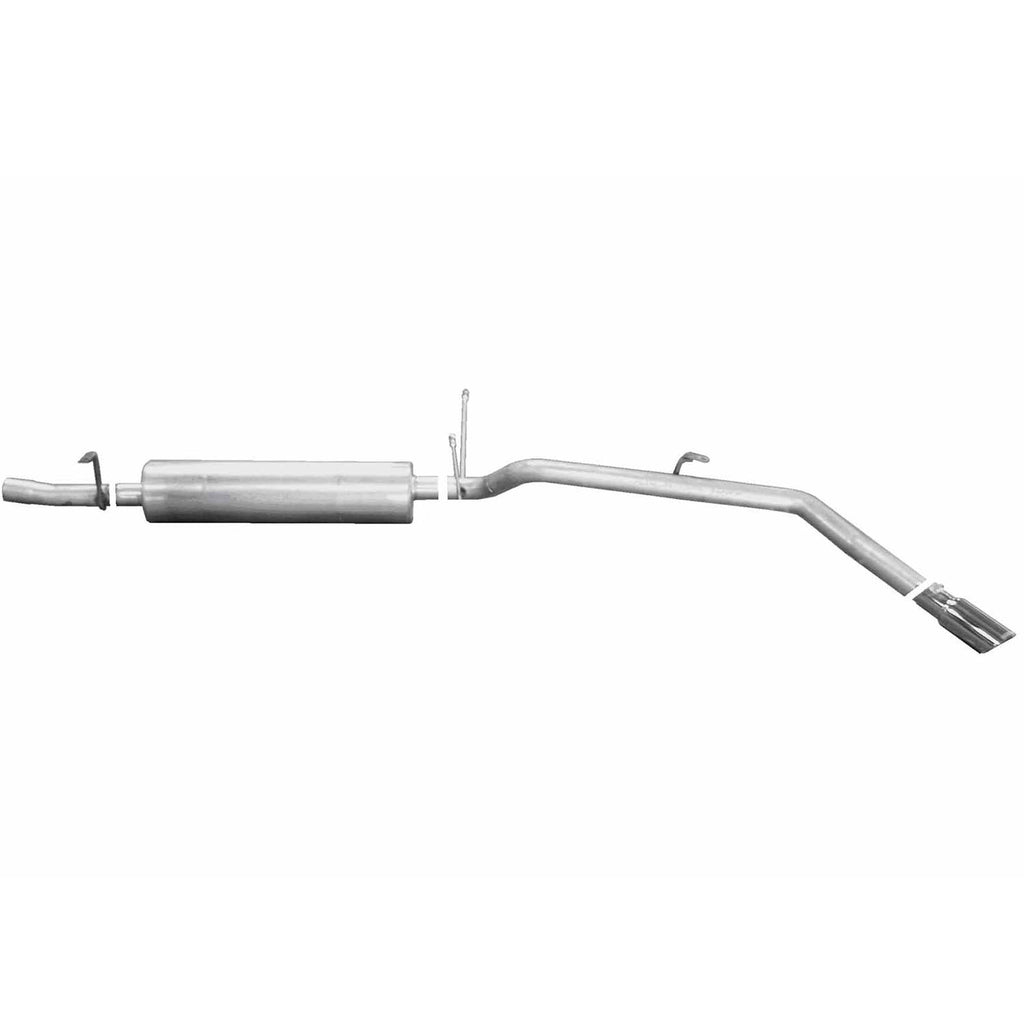 Cat-Back Dual Exhaust System C178212