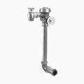 Royal Manual Flushometer D918