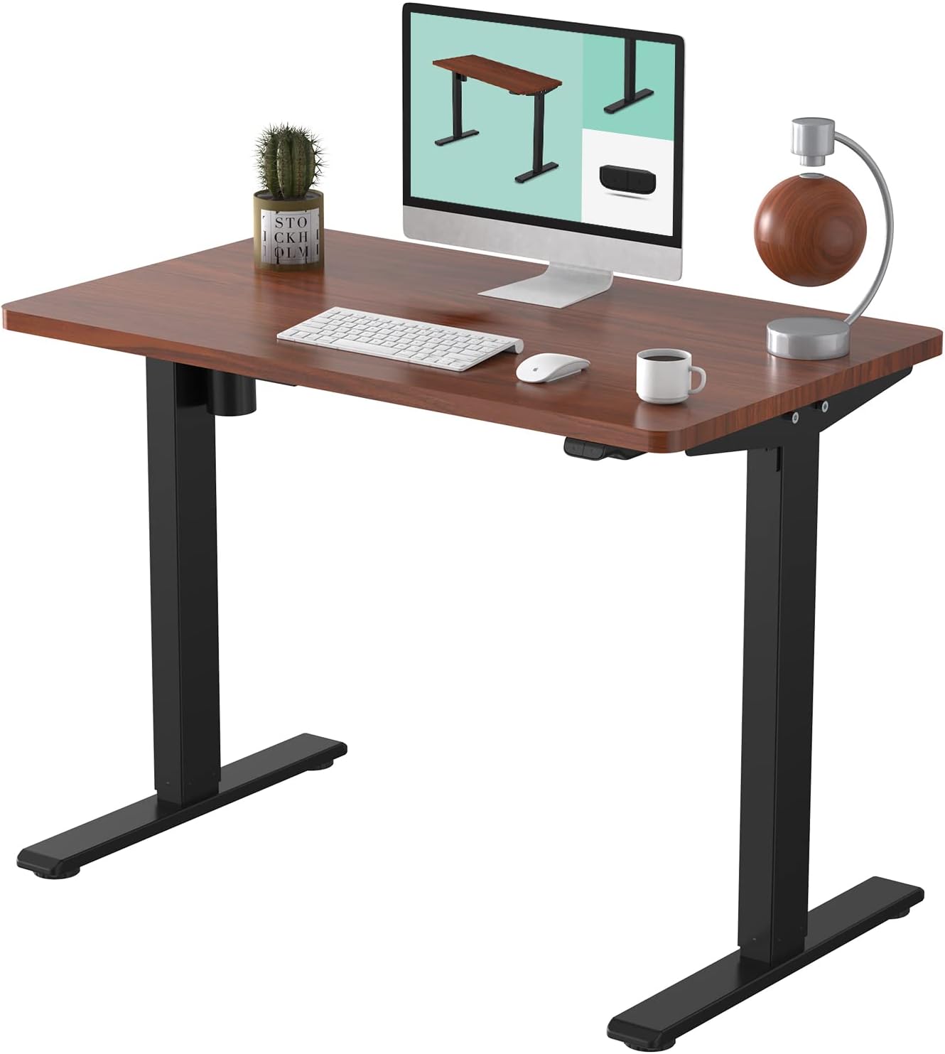 55 x 28 Inches Electric Stand Up Desk with White Top Q85519