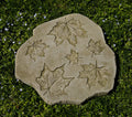 English Moss Stepping Stone E119682