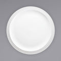 Bright White Stoneware Narrow Rim Plate - 24/Case Y393