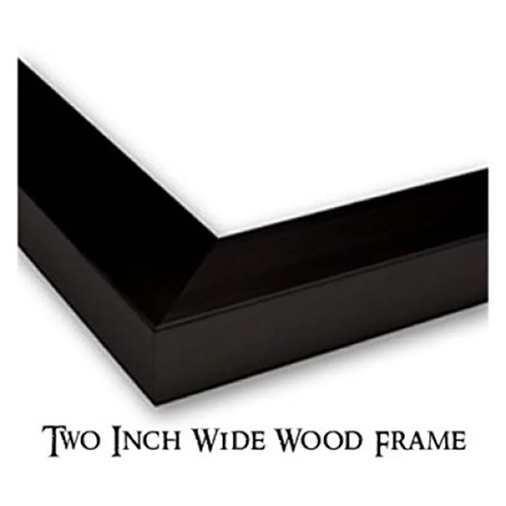 Black Modern Framed Museum Art Print W3771