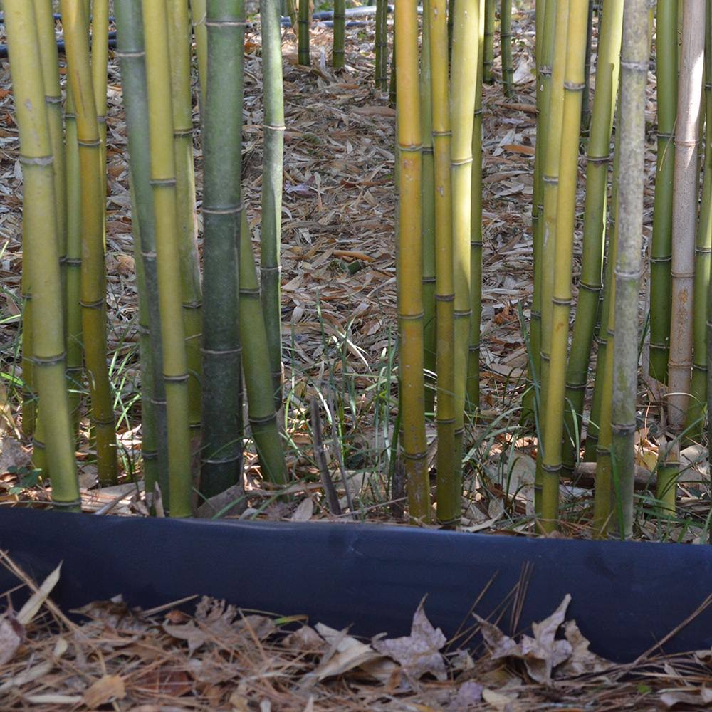 Bamboo Shield 100 Mil Thick 36in Depth 60 Feet I190