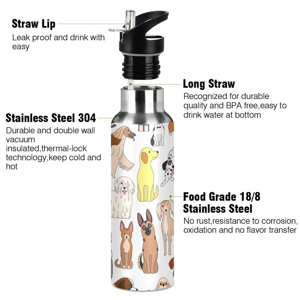 20 oz Insulated Stainless Steel Water Bottle with Straw Lid W424369