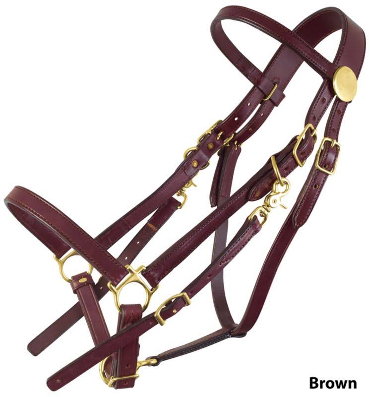 Brass Halter Bridle Large Black B7193