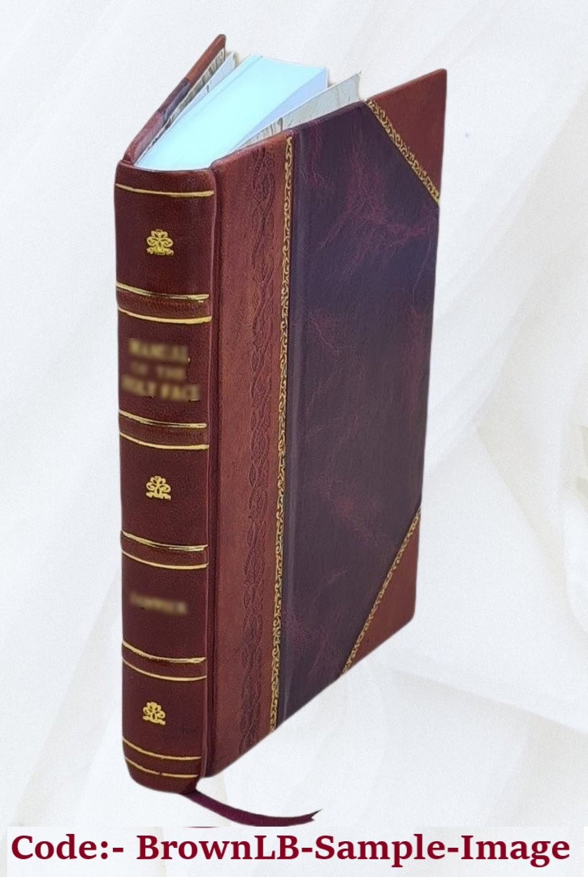 Norse heroes Eddas Sagas 1909 Leather Bound N2663