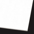 24x22 W x 24x22 L x 3/4x22 Thick Ceiling Tile, pk12 V623803