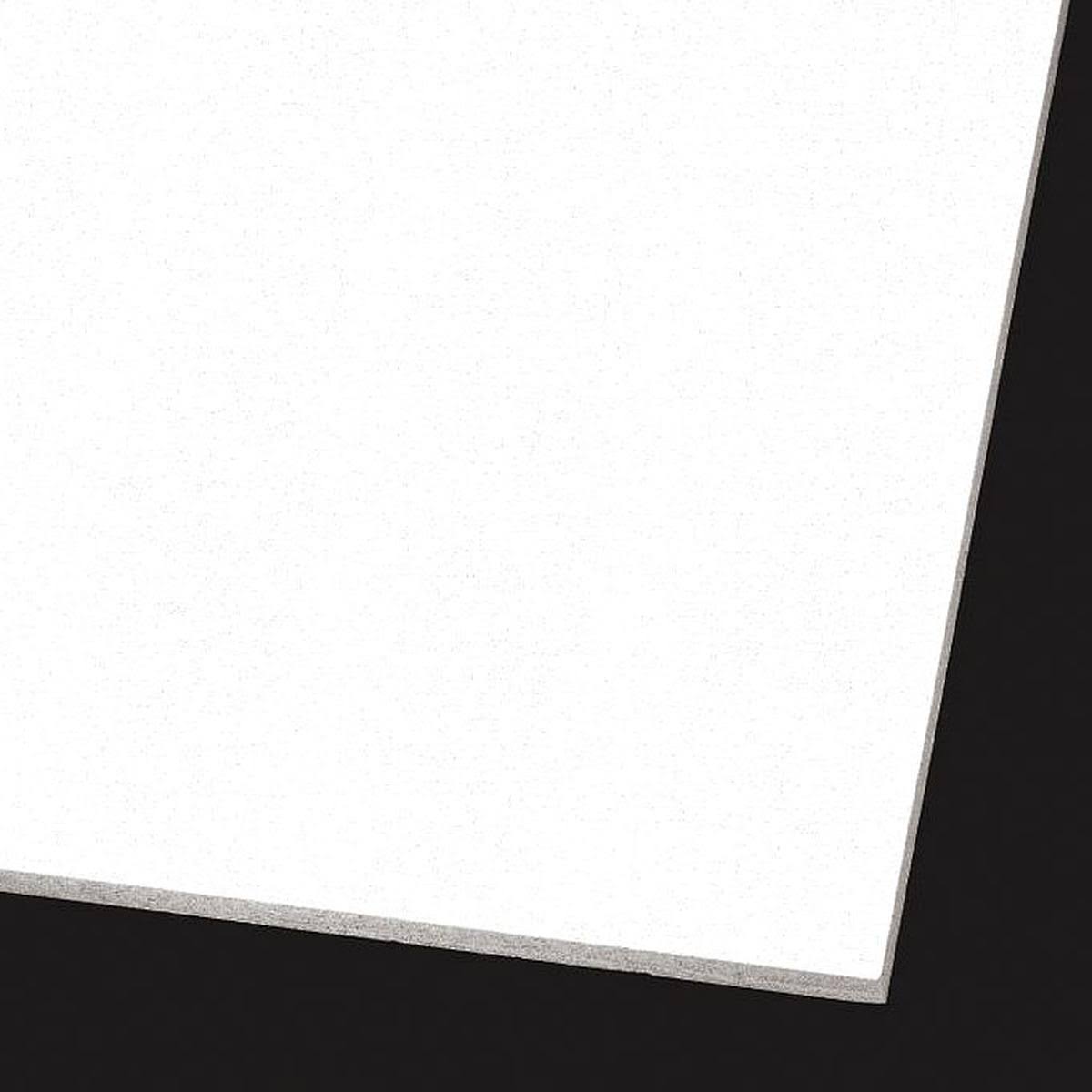 24x22 W x 24x22 L x 3/4x22 Thick Ceiling Tile, pk12 V623803