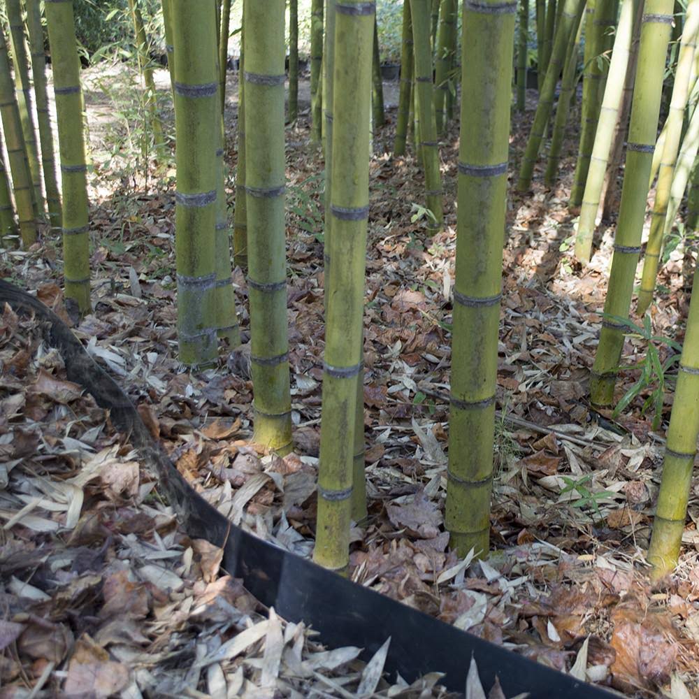 Bamboo Shield 100 Mil Thick 36in Depth 60 Feet I190
