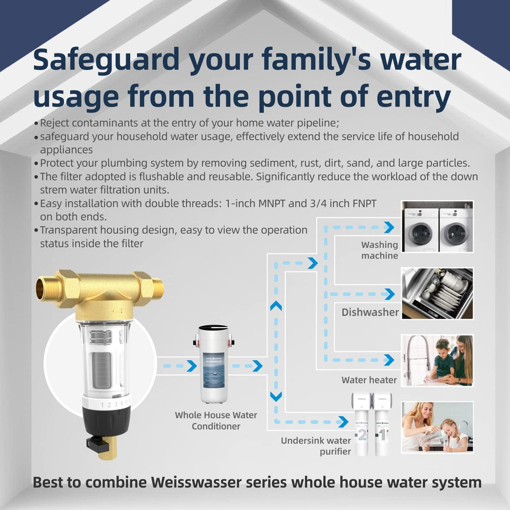 40-Micron Reusable Whole House Sediment Water Filter, Lead-Free Brass, Pack of 2 V692325