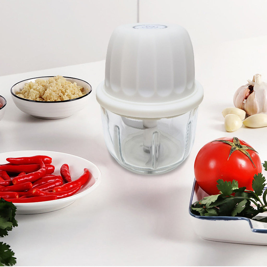 Electric Mini Garlic Chopper Food Processor with 300ml Cup F841