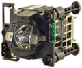 Replacement Bulb for Lamp P791