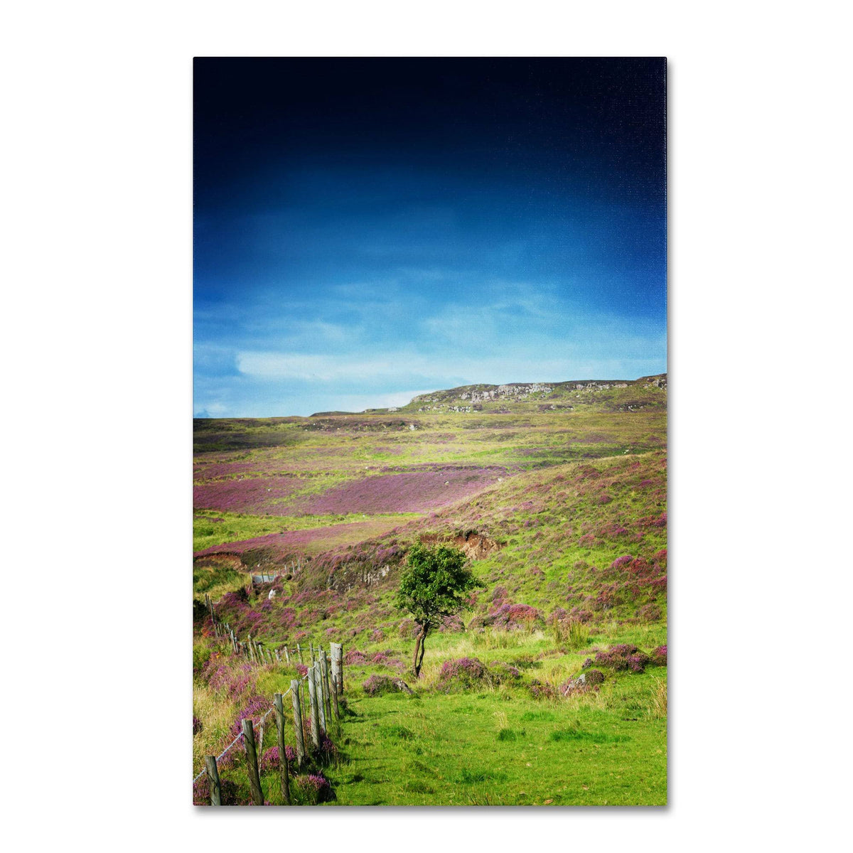 Canvas Art J303