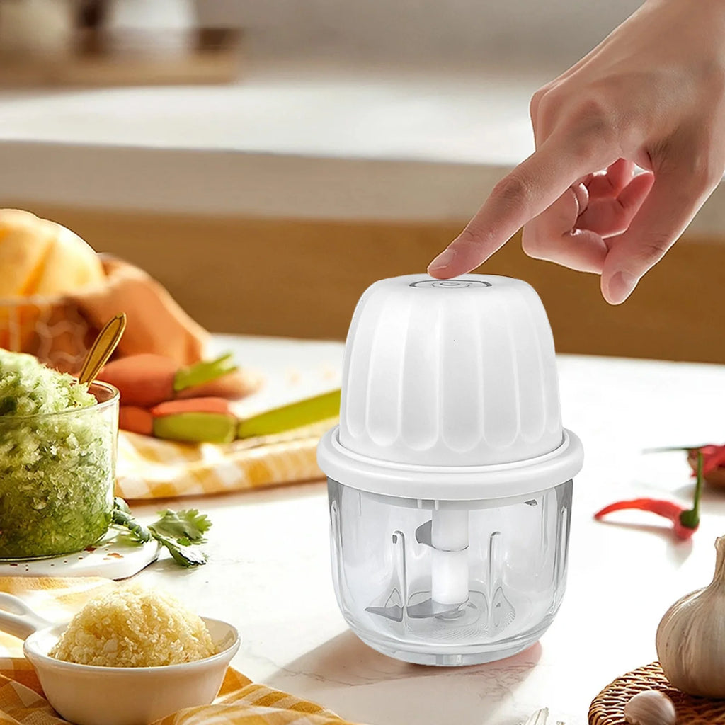 Electric Mini Garlic Chopper Food Processor with 300ml Cup F841