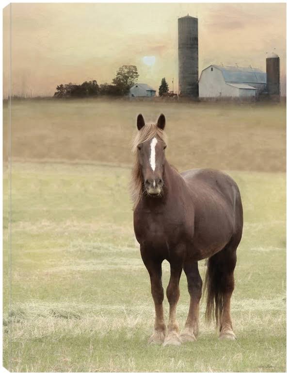 Canvas Art 24x32 A19205