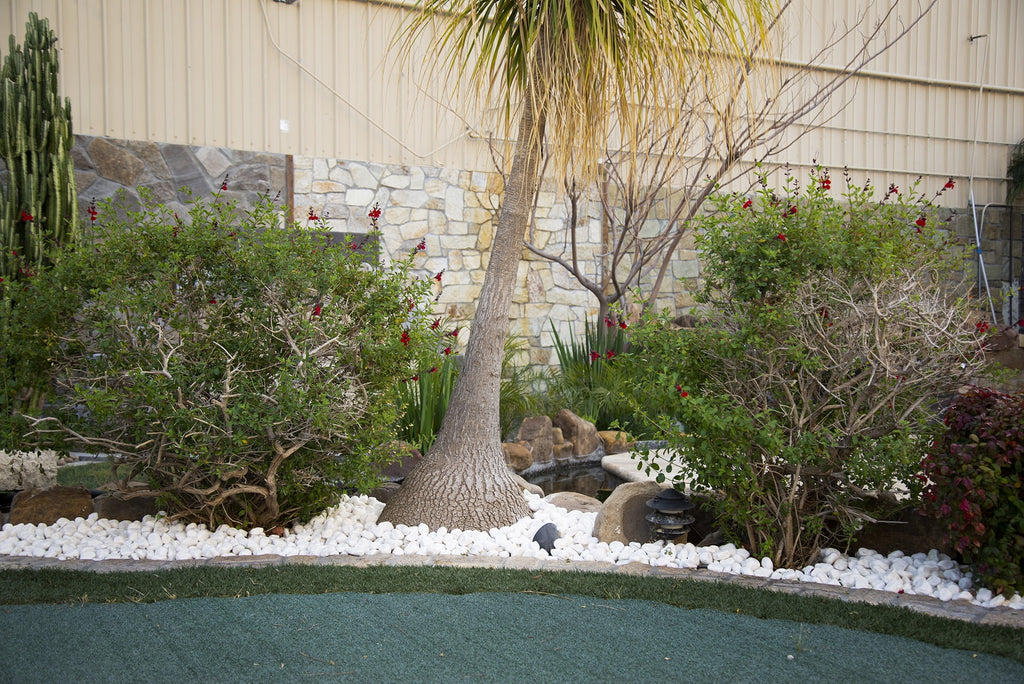 White Marble Bagged Pebbles P47894
