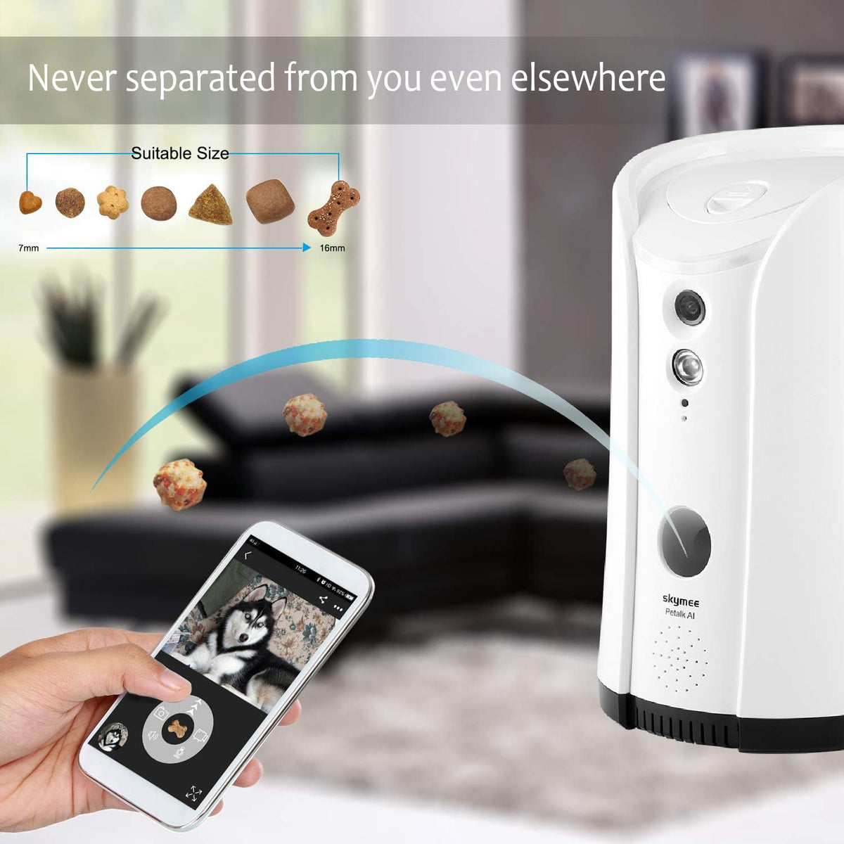 WiFi Pet Camera with Two-Way Audio and Night Vision B342385