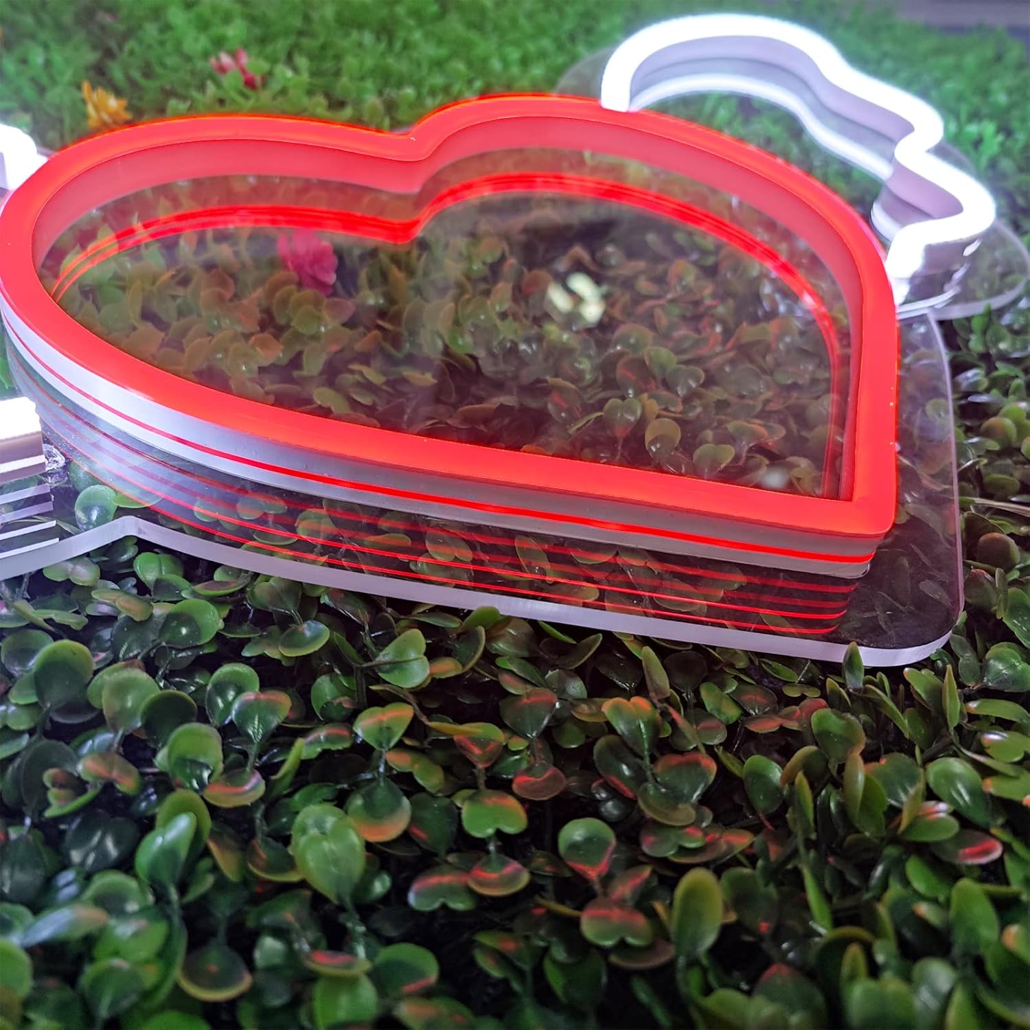 Heart Angel Wings Neon Sign Pack of 2 X5307