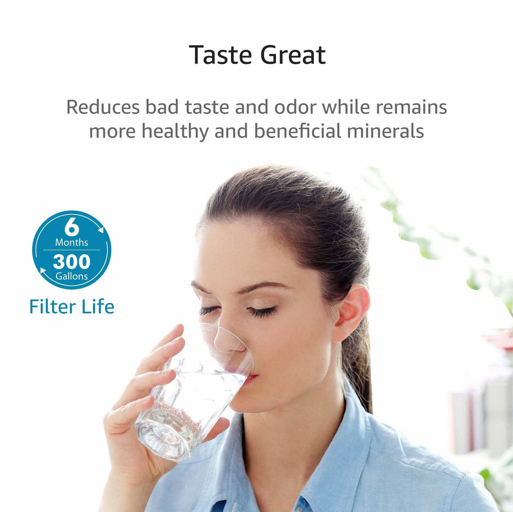 4 Pack Refrigerator Water Filter Cartridge Q173