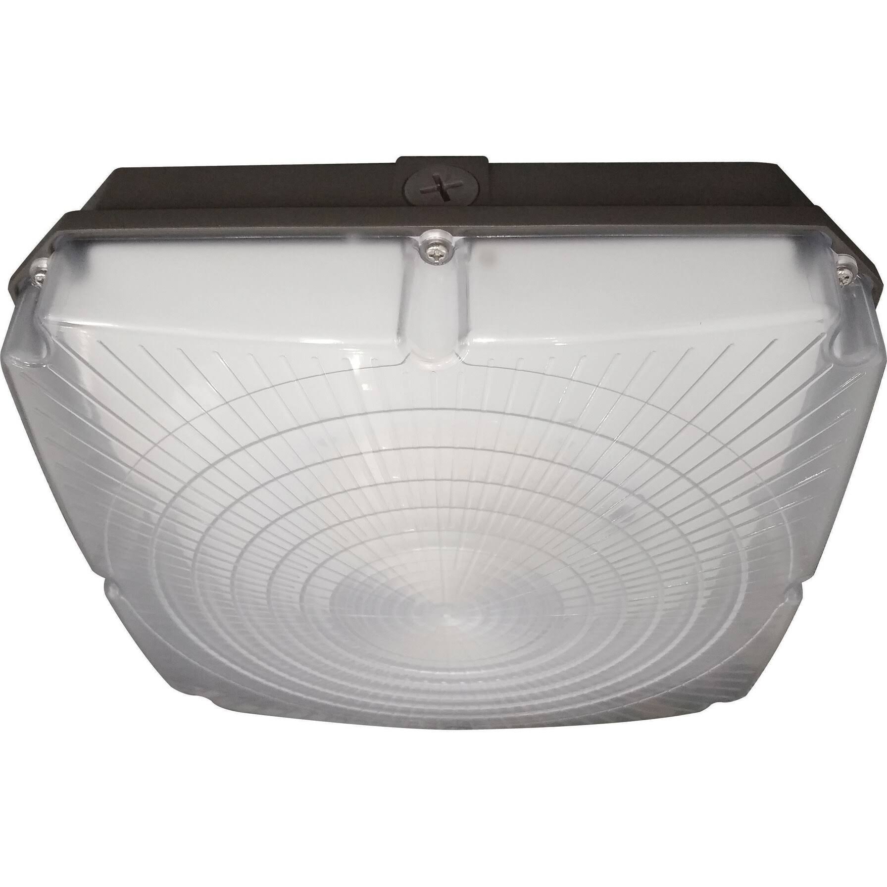 40W 4000K LED Canopy Fixture Z446