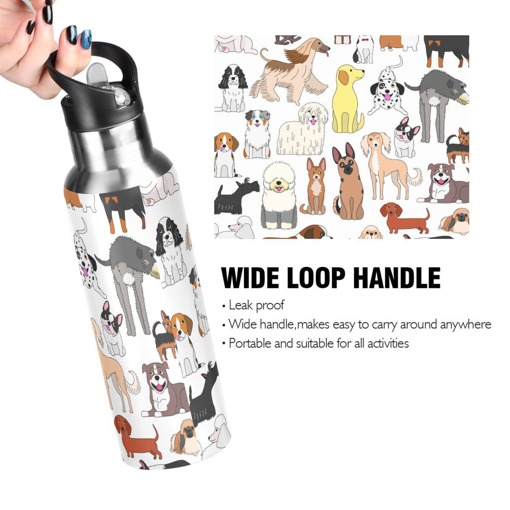 20 oz Insulated Stainless Steel Water Bottle with Straw Lid W424369