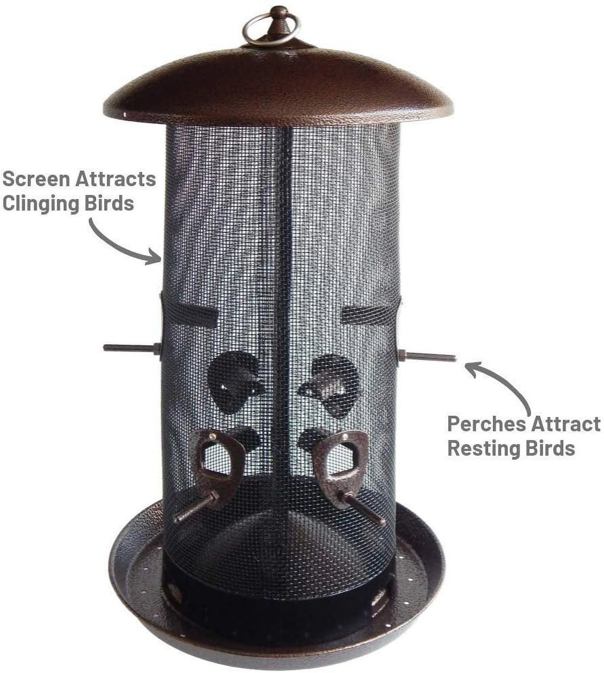 Black Finish Bird Feeder with 2 Seed Compartments M807619