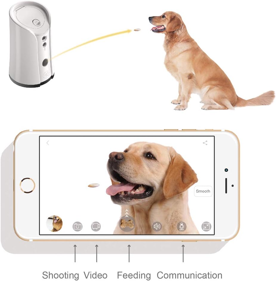 WiFi Pet Camera with Two-Way Audio and Night Vision B342385